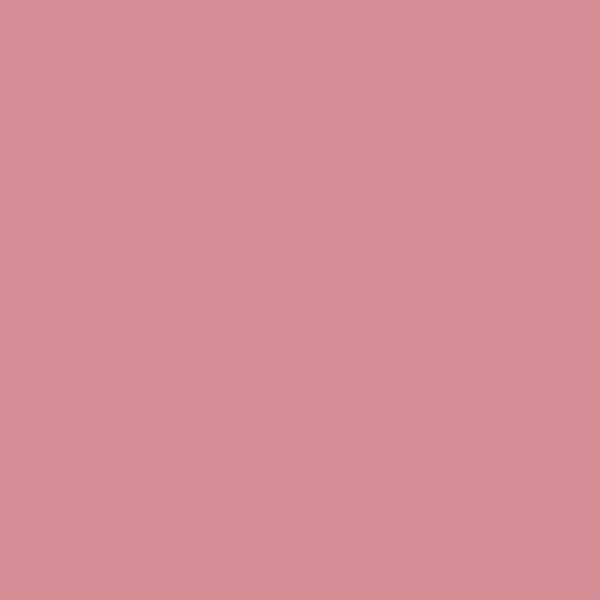 PinkPaint Swatch Apr 2400x2400