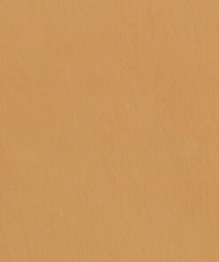 bdgjylcejysxsdxsaqd0 1.jpg